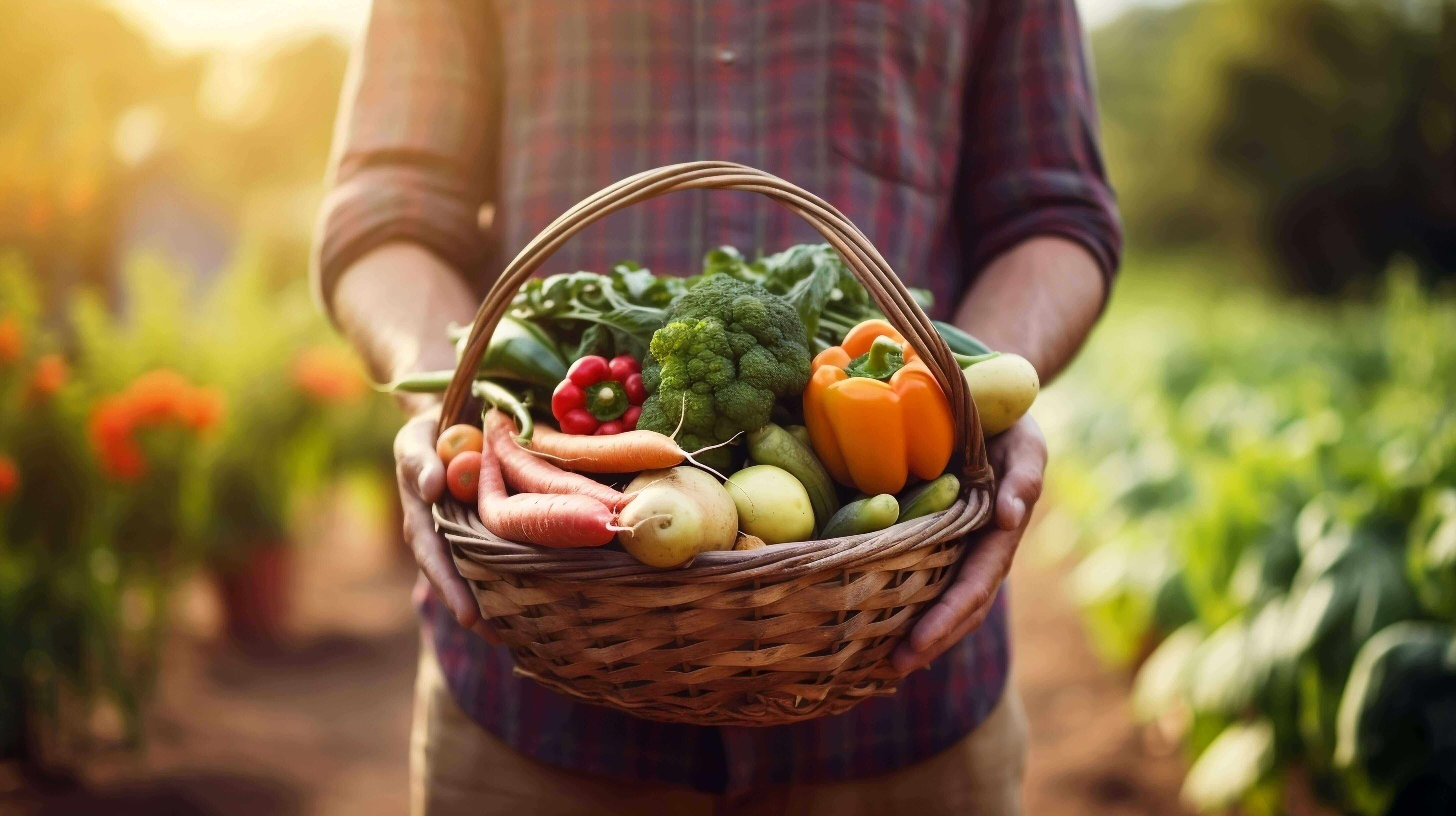 Ernte-Korb mit frischem Gemüse